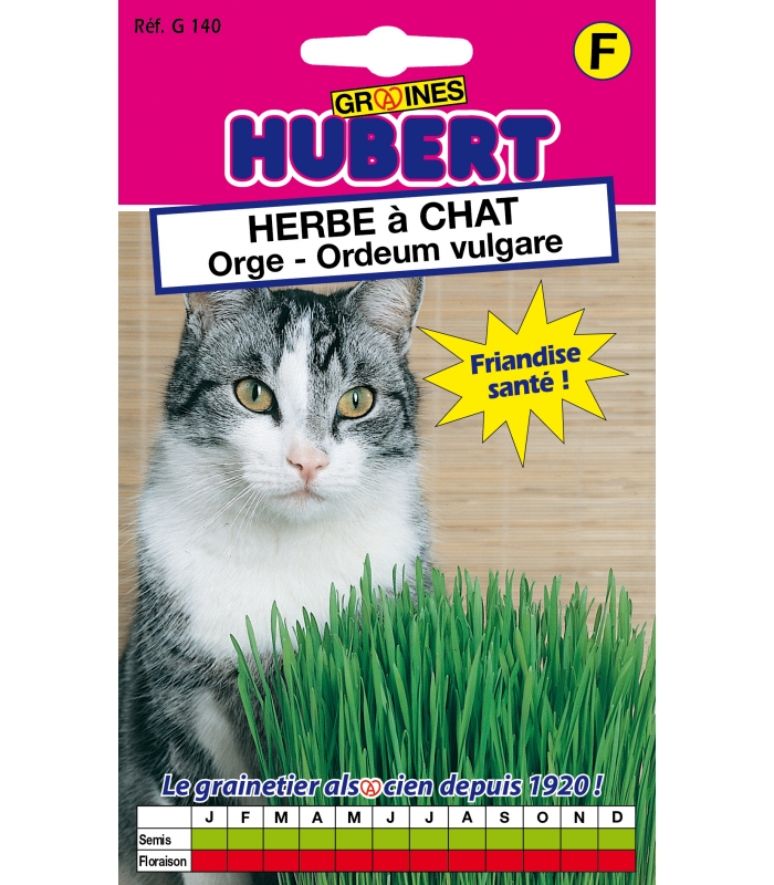 Graines d'herbe à chat à semer - Chat - Animal.Compagnie