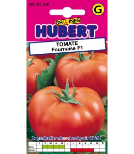 Commander des graines de tomate pour votre potage