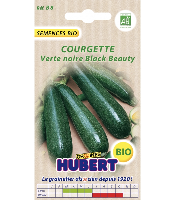 Graines de Courgette verte noire maraichere BIO : achat/vente