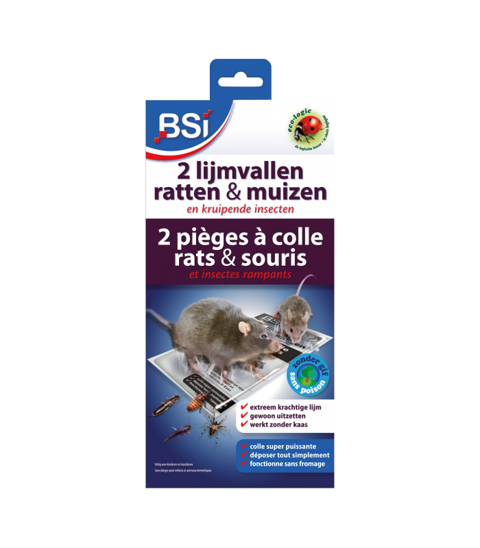 Piège à souris Colle Pièges à souris pour rats Tableaux collants Pièges à  souris fortement adhésifs - bibibobi 32